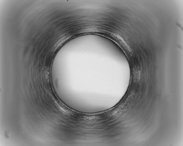 X0000094971225200712201215