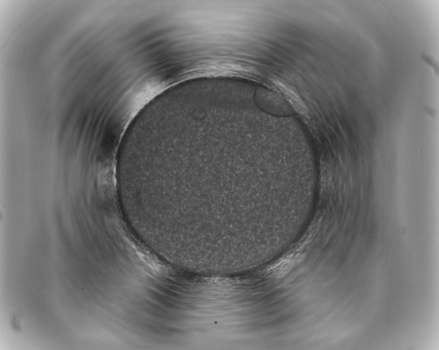 X0000094971226200712201215