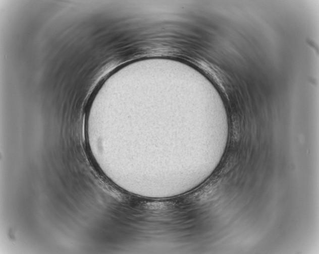 X0000094971227200712201215