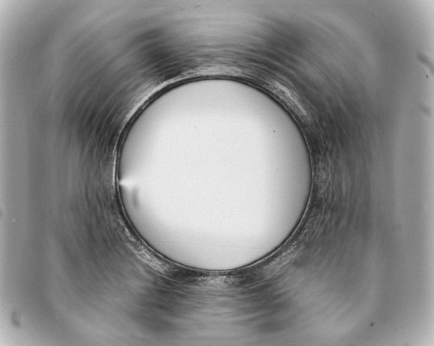 X0000094971228200712201215