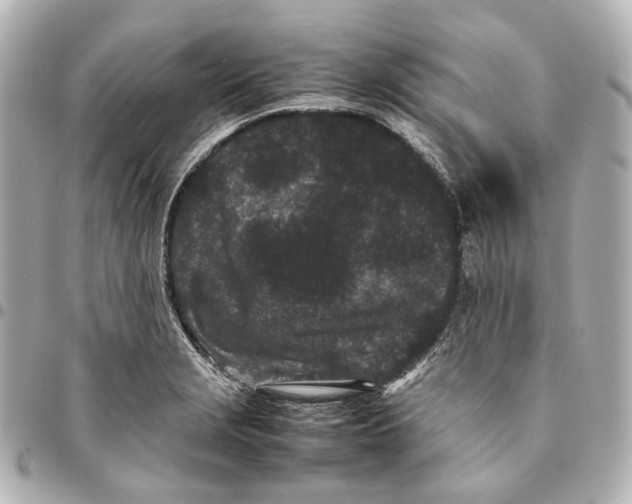 X0000094971229200712201215