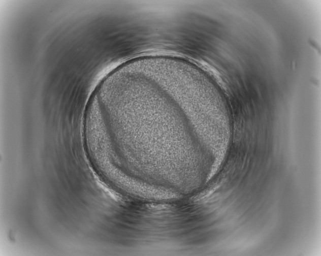 X0000094971231200712201215