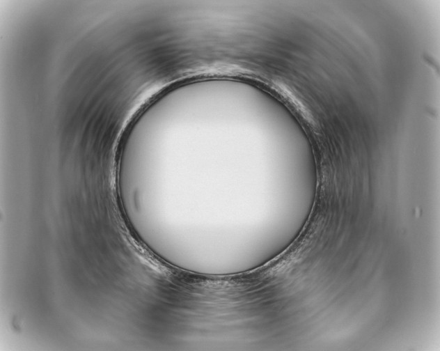 X0000094971232200712201215