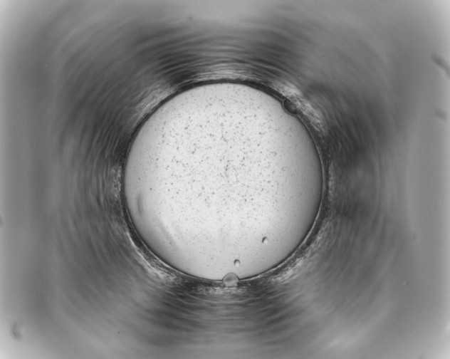 X0000094971233200712201215