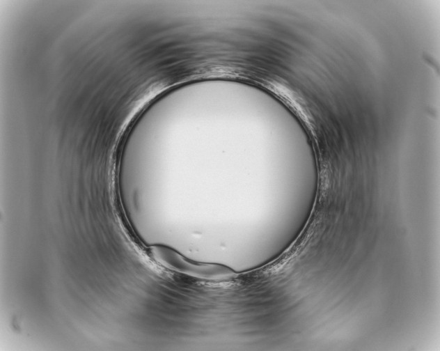 X0000094971235200712201215