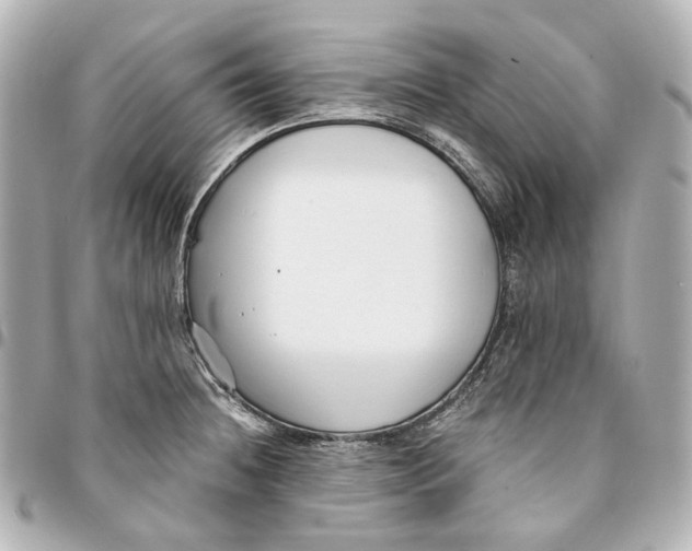 X0000094971236200712201215