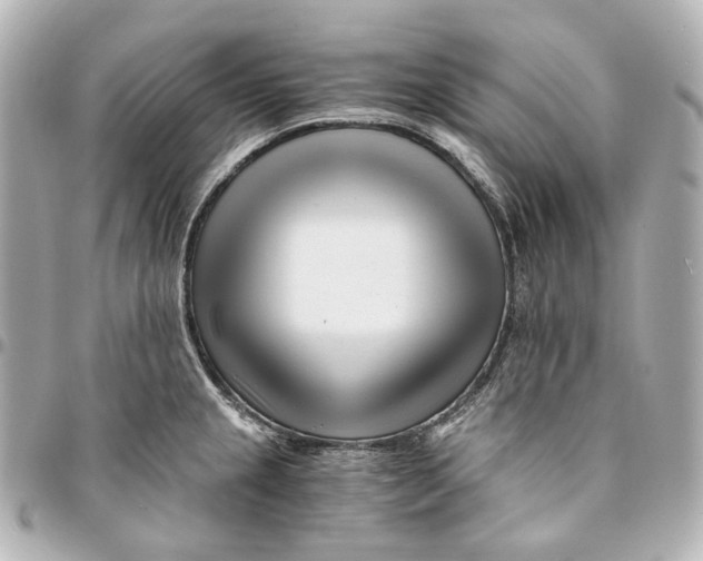 X0000094971237200712201215