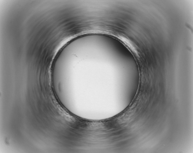 X0000094971238200712201215