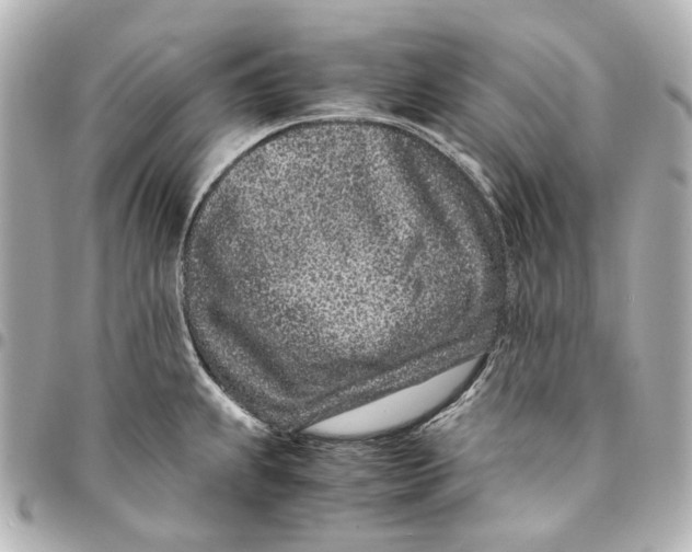 X0000094971239200712201215