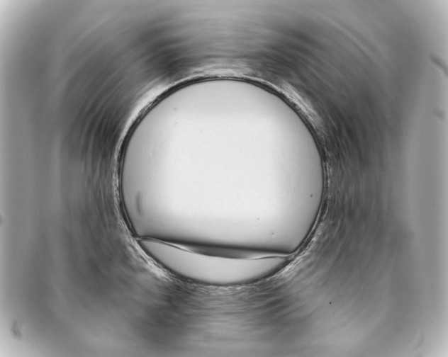 X0000094971240200712201215