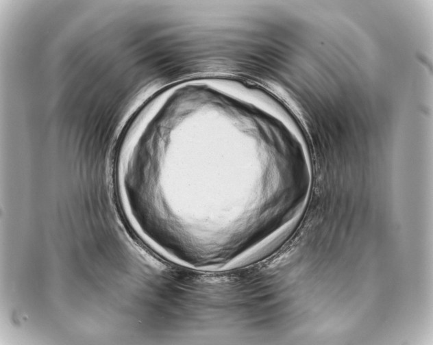 X0000094971243200712201215