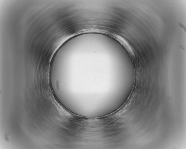 X0000094971244200712201215