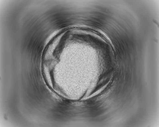 X0000094971245200712201215