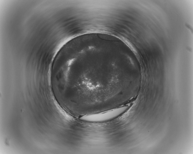 X0000094971246200712201215