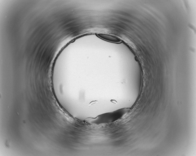 X0000094971248200712201215