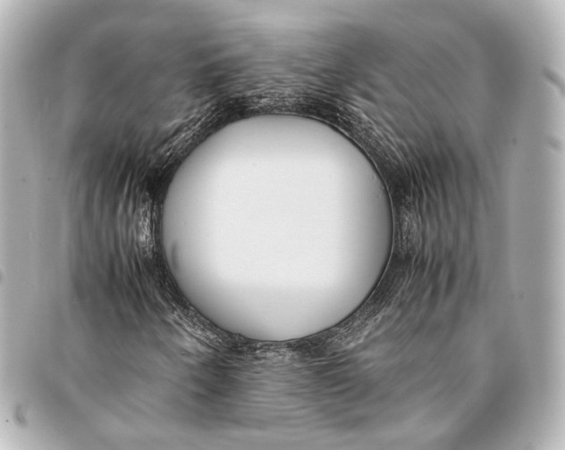 X0000094971250200712201215