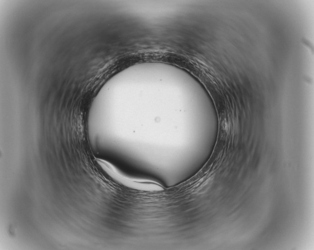 X0000094971252200712201215