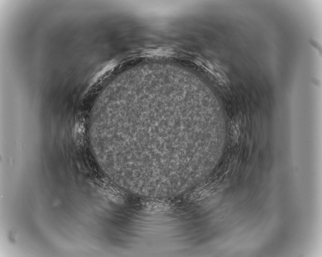 X0000094971254200712201215