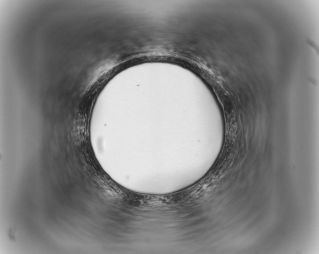 X0000094971255200712201214