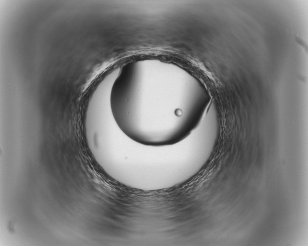 X0000094971256200712201214