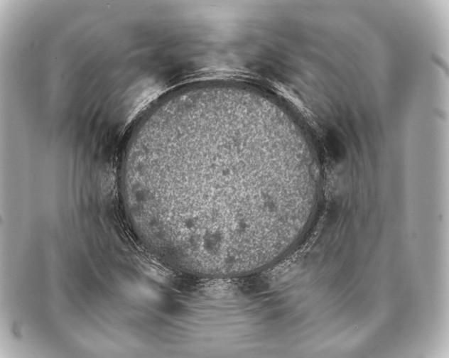 X0000094971259200712201214