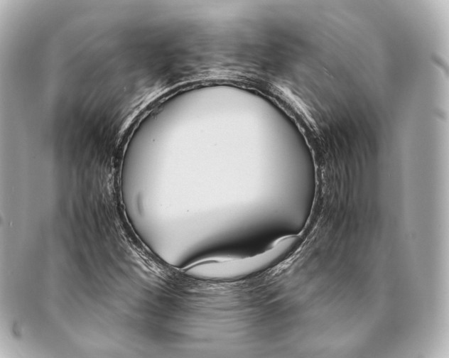 X0000094971260200712201214