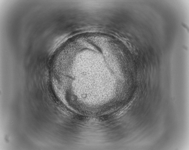 X0000094971263200712201214