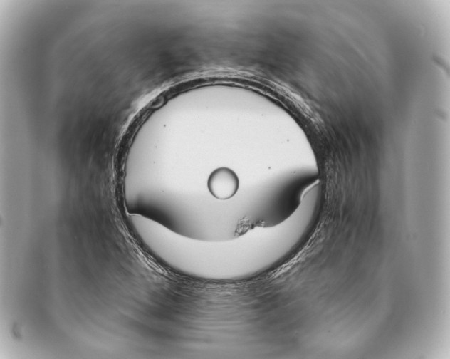 X0000094971264200712201214