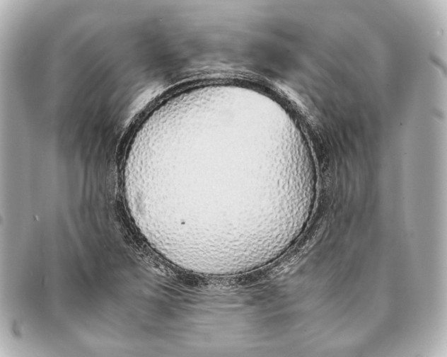 X0000094971267200712201214