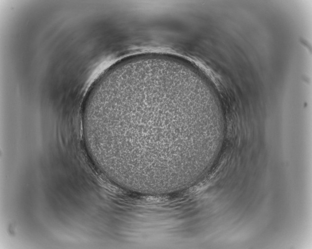 X0000094971271200712201214