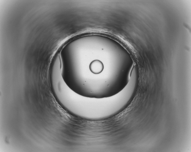 X0000094971272200712201214