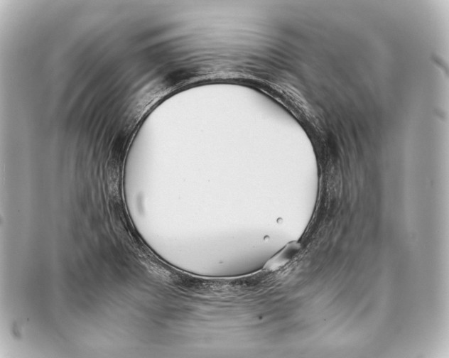 X0000094971273200712201214