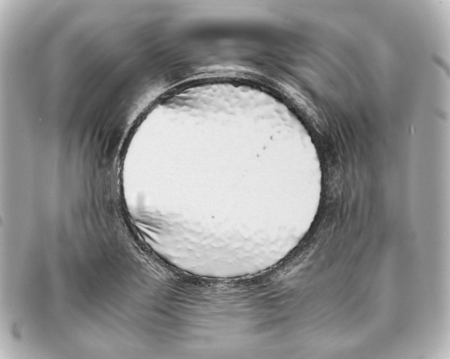 X0000094971275200712201214