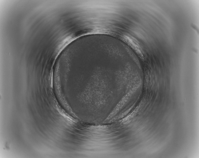 X0000094971276200712201214