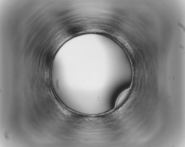 X0000094971281200712201214