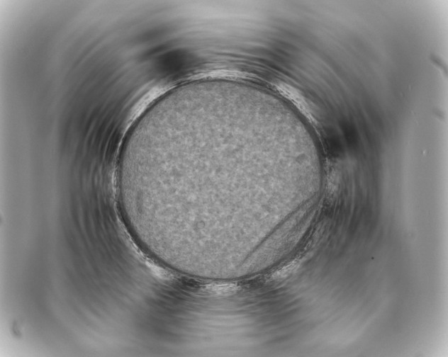 X0000094971282200712201214