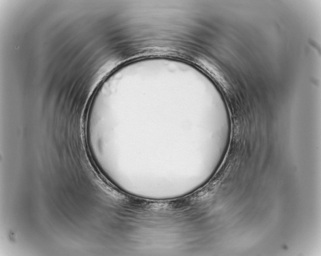 X0000094971283200712201214