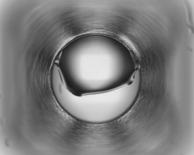 X0000094971284200712201214