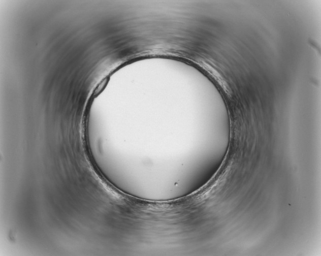 X0000094971285200712201214