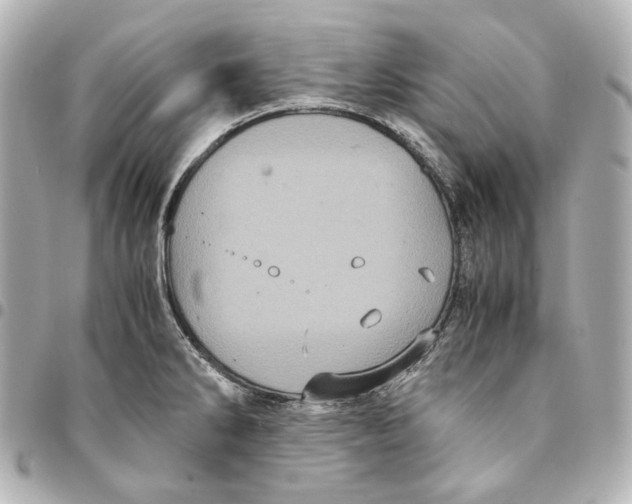 X0000094971286200712201214