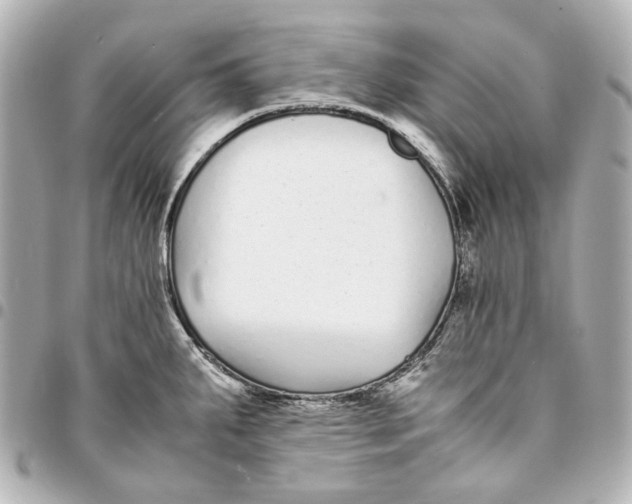 X0000094971287200712201214