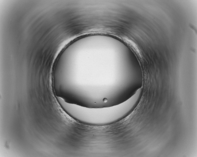 X0000094971288200712201214