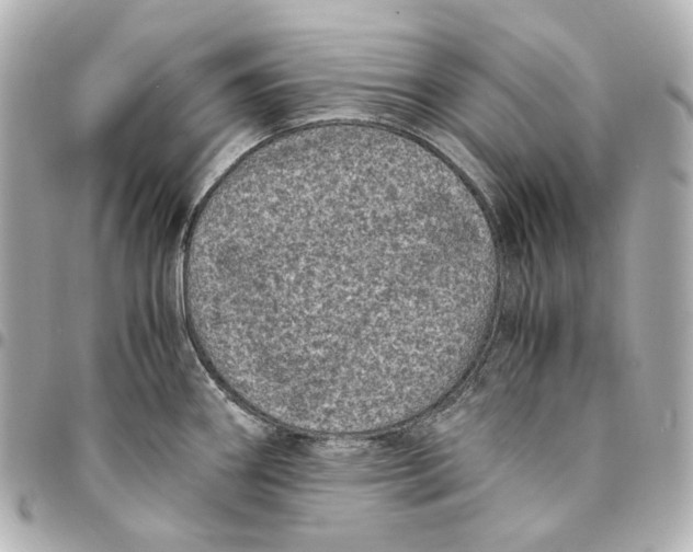 X0000094971290200712201214