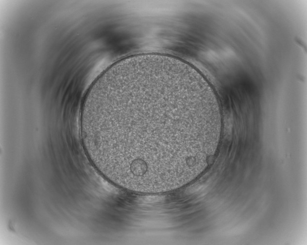 X0000094971294200712201214