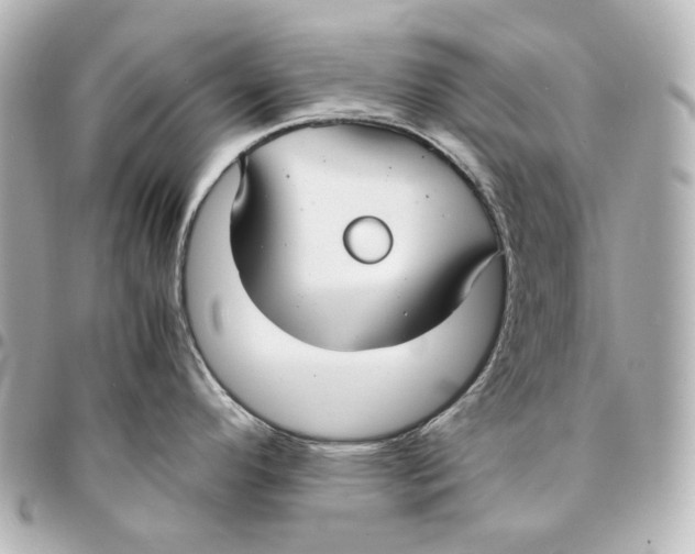 X0000094971296200712201214