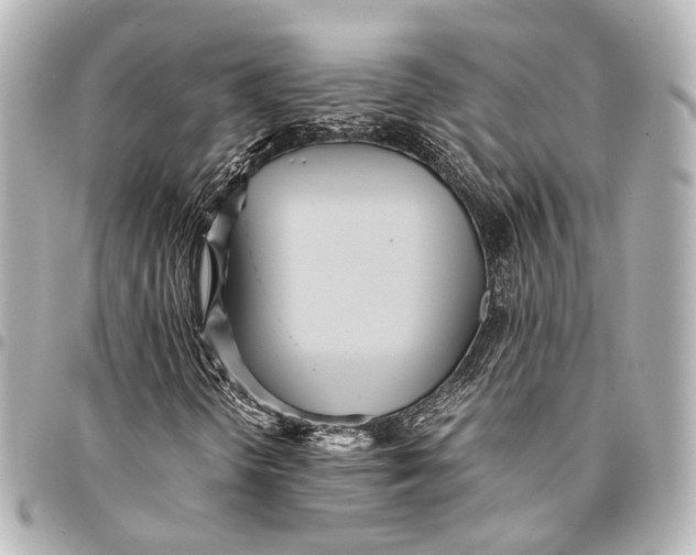 X0000094971298200712201213