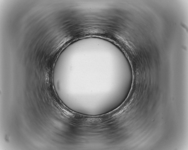 X0000094971305200712201213