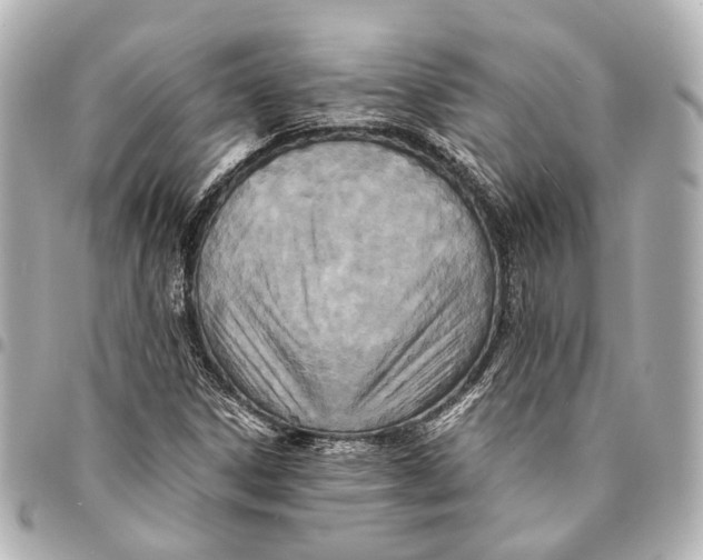 X0000094971306200712201213