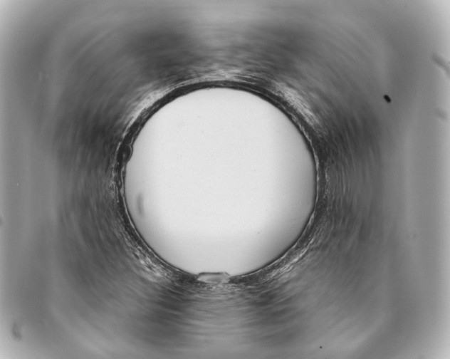 X0000094971308200712201213