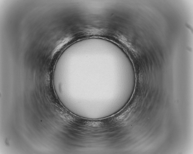 X0000094971309200712201213